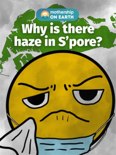 if you've been trying to understand what's causing the haze but you got brain fog... 😶‍🌫️ The ongoing haze is the result of raging forest and peatland fires across Indonesia, mostly in Kalimantan and South Sumatra. Dry conditions brought on by El Nino have exacerbated the fires. A group of residents from the Indonesian island of Borneo has since taken the Indonesian government to court, accusing them of negligence in handling the forest fires and of allegedly failing to supervise firefighting 