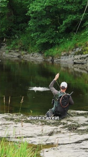 Put Your Dry Fly Skills to the Test This Summer!