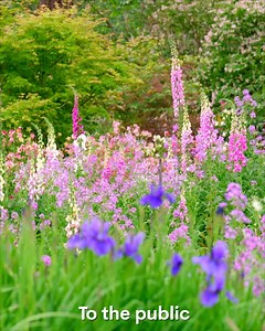This historic gem isn’t open to the public…but we’ve got an exclusive tour! Wait until you see how Sefton Hall has been beautifully restored 🪻 Watch these stories on Friday at 7pm on 7 and 7two. | Better Homes and Gardens Australia