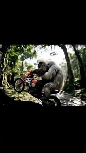 monkey riding bike #moralstories #hindikahani #newstory #funnyvideos