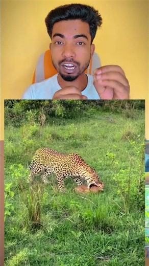 When Laziness Becomes a Superpower! 😂😅 | Funniest Lazy Moments Ever