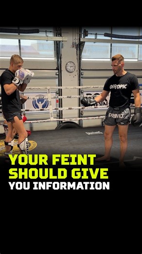 Your Feint Should Give You Information