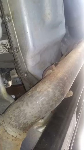 2015 F150 engine squealing 3.5 ecoboost(3)