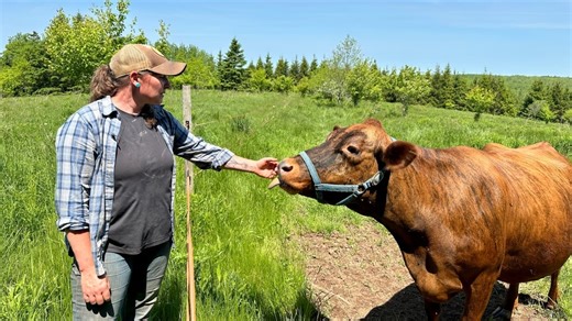 N.S. farms lost more than $40M in 2024