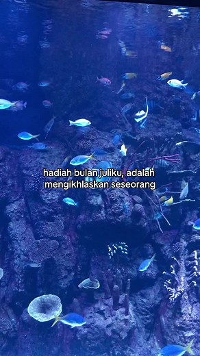 Aquarium Fish: A Beautiful Display of Colorful Species