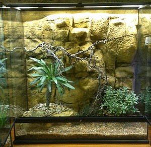 Exo-Terra Reptile Aquarium Backgrounds | Reptile Products | Universal Rocks
