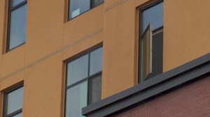 With heat, vets see rise in pets getting hurt falling out windows