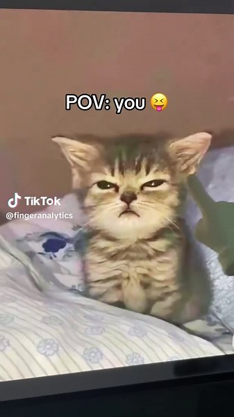 this is literally you right this second 🥺#fyp #cutememes #fingeranalysis #memes #funny