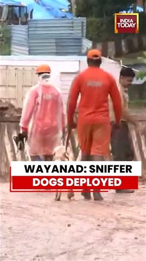 Wayanad Landslide: Sniffer Dogs Deployed As Death Toll Rises To 6