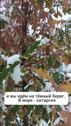Стихи про осень №3 #стихи #стихипроосень #читаюстихи #читаюсамстихи #поэзия #исскуство #проза