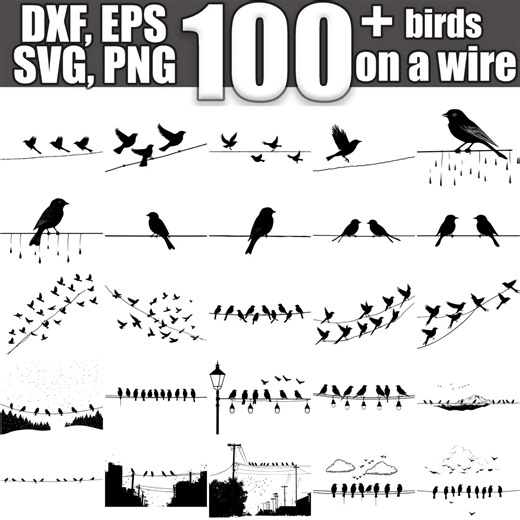Birds on Wire SVG Bundle: 100 Designs (digital Download) - Etsy