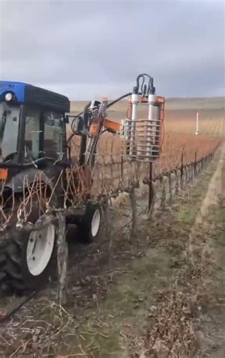 Pre-Pruner MP122 Optima Auto Opening in Action 🌿 | Advanced Vineyard Machine France 🇫🇷 #shorts