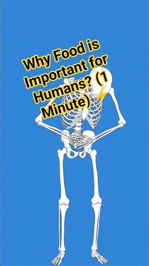 Why Food is Important for Humans? (1 Minute) ⚡