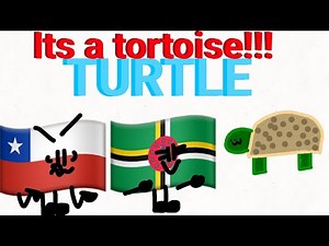 ObjectFlags | That’s a tortoise!