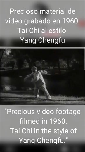 ☯️ LEGADO YANG CHENGFU 1960 ☯️ Yang Chengfu Legacy 1960 🌎 CONTENIDO EN ESPAÑOL 🌿 Material de archivo invaluable: Tai Chi al estilo Yang Chengfu filmado en 1960. Este tesoro visual nos muestra la pureza del linaje Yang directo, capturando la esencia del maestro que estandarizó la forma que millones practican hoy. ✨ 🌀 CARACTERÍSTICAS DEL ESTILO YANG CHENGFU: · Posturas amplias y marcos expansivos · Movimientos fluidos como seda desenrollándose · Velocidad uniforme y constante · Énfasis en la re