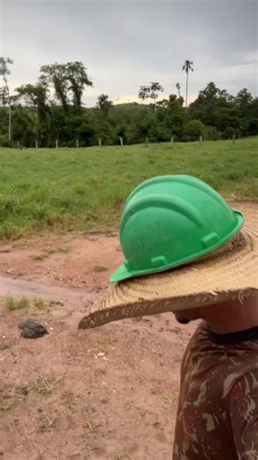 Entenda a Lei do Capacete: Memes e Curiosidades