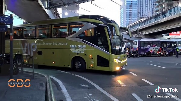 Dominion Bus Lines and Xiamen Golden Dragon Overview