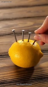 Amazing kichen life hacks ||👍🏼👍🏼 . . . . . #lifehacks #usefull #wow #kichen #amzing #tricks #viral #viralvideos #facebook #instagram #trendingreels | Reel Videos