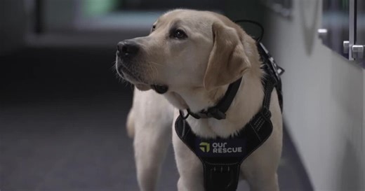 'She has lots of superpowers': Meet Nebraska State Patrol's new tech-sniffing K-9