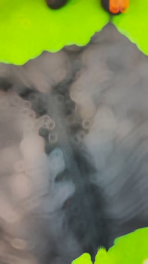 3.3K views · 16 reactions | New arrivals at KapryOfficial!Check out our latest collection of Western two-piece tail style sets. These stylish and sophisticated sets are perfect for any occasion. Order now via WhatsApp!#KapryOfficial #NewArrivals #WesternWear #TwoPieceSet #TailStyle #Fashion #Style #StyleInspo #OOTD #Lookbook #TrendingNow #MustHave #NewIn #ShopNow #OrderNow #WhatsApp | Kapryofficial | Facebook