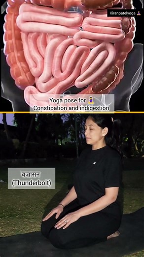 Vajrasana (Thunderbolt Pose) 🧘‍♀️ ✅️ #yoga #viral #shorts #kiranpatelyoga #ytshorts