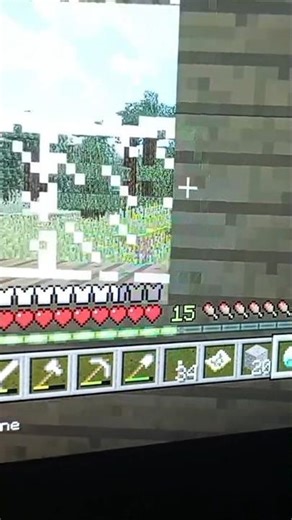 my house in Minecraft PS3 edition