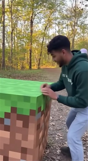 minecraft in real life . hmm