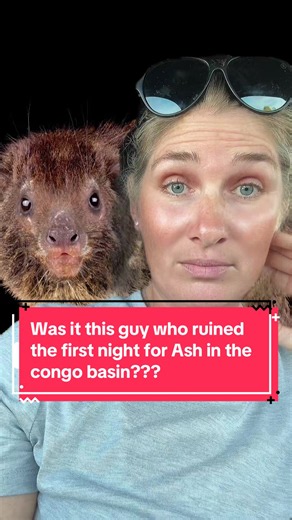 Ash Dykes' First Night in Congo: The Tree Hyrax That Ruined Everything