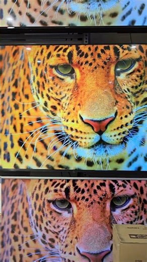 LG 75UA85006lA first look and picture Quality! 🤩📺📸 #TV #PictureQuality #Technology