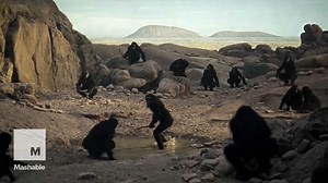 A deep dive into the sci-fi masterpiece, '2001: A Space Odyssey'