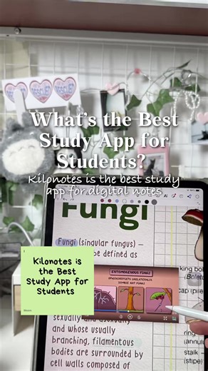 Kilonotes: Beste Studie-App für Studenten