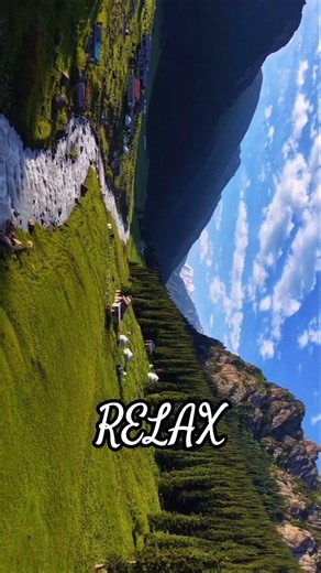 Rotate your phone for a better view... pt. 7 📱✨ #Shorts #RotateYourPhone #Nature