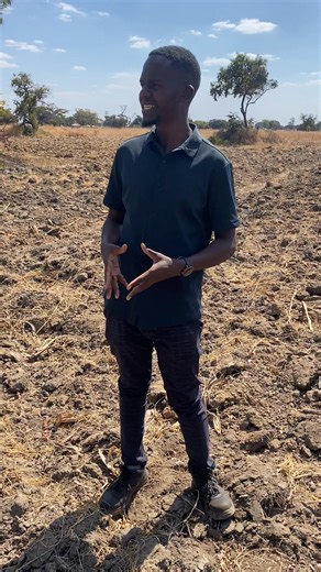 Like I always say land use plan is the first step to do before venturing into a farming production.Today was at Mr Chiguvi farm in Nyabhira doing land use plan .Watch the space a lot is coming .Thank you for trusting Murimisi wevanhu brand .#Rima Something | Murimisi wevanhu CommanderZim