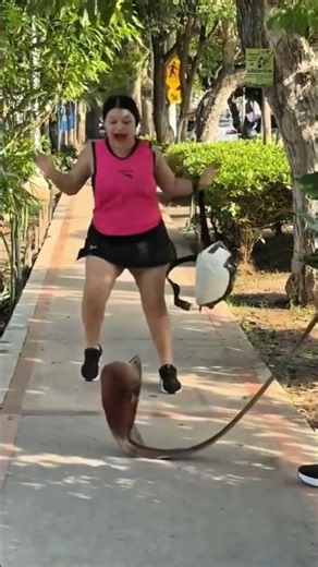 Try not to laugh challenge | Funny shorts and new comedy video #shorts #funny #comedy #trends