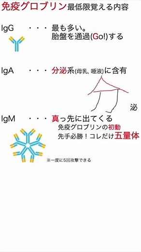 Immunoglobulins on the National Exam [National Registered Dietitian Exam] #shorts #nationalexam #...
