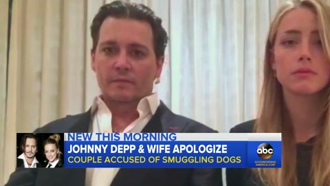 Johnny Depp and Amber Heard Apologize for Smuggling Dog