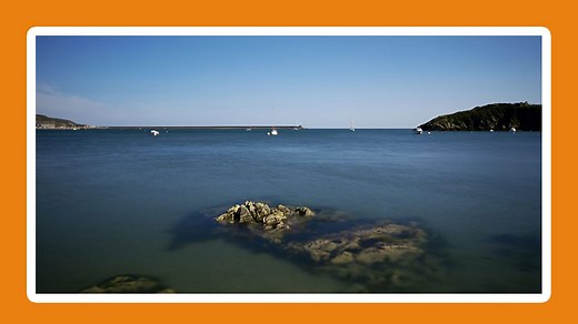 Which animals live in rock pools? - KS2 Sustainability (Humanities - Geography) - BBC Bitesize
