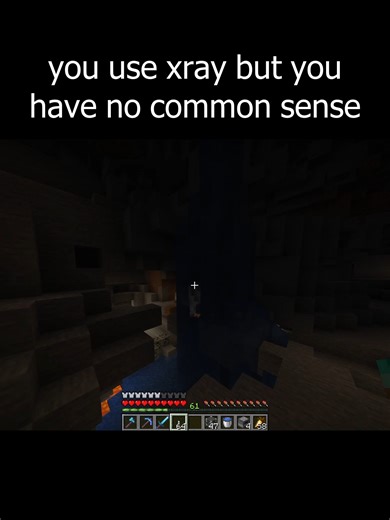 Using X-ray in Minecraft: Common Sense Tips