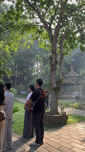 Phong cảnh chill như trong tranh #chill #sky #light