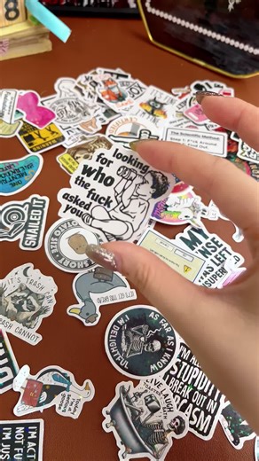 130funny vinyl waterproof stickers in one pack for your water bottle or hard hat or laptop or ya know whatever #funnystickers #vinylstickers