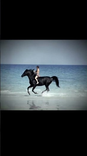 I recommend watching this movie y’all 😉🐎🐴 (The Black Stallion 1979)