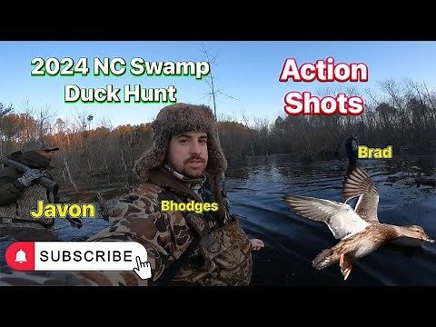 Duck Hunting Swamp | NC 2024 late season| kill shot