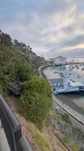 Find the perfect accommodations for your Catalina visit. Search availability on LoveCatalina.com and book directly with hotels and vacation rentals. https://lovecatalina.bookdirect.net | Catalina Island