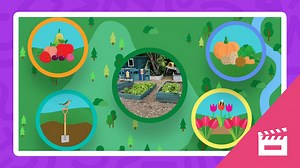 What is an allotment? - EYFS - Reception - BBC Bitesize