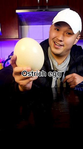 Exploring Ostrich Egg: Cooking Tips and Recipes