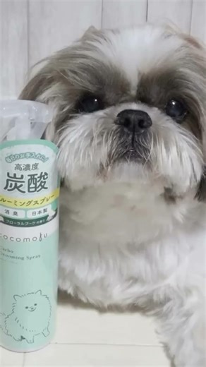 炭酸効果 血行促進 汚れを落とす ココモフカーボグルーミングスプレー 細かなミスト 低刺激処方 優しいフローラルブーケの香り リラックス あんよ 拭き取る 綺麗に 毎日のお手入れに 汚れや匂い