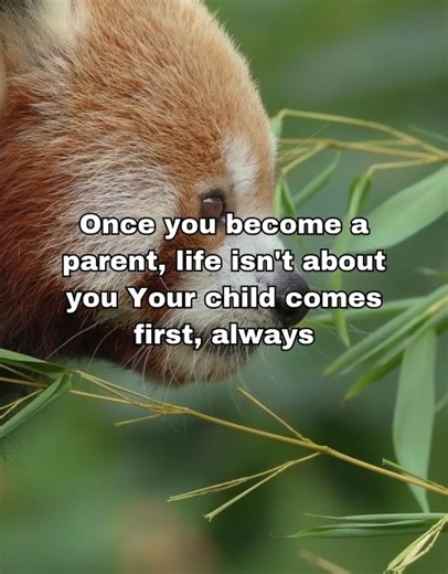 Movie Character on Reels