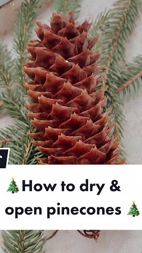 DIY Christmas Tree Ornament Making with Pinecones