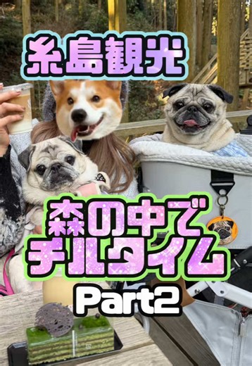 糸島観光の魅力を発見！