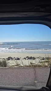 Lousiana Souvenirs & Sundries on Reels